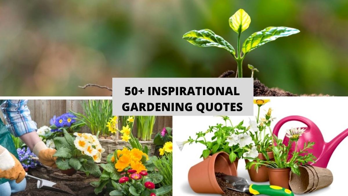 64 Inspiring Gardening Quotes (Garden Therapy Sayings)