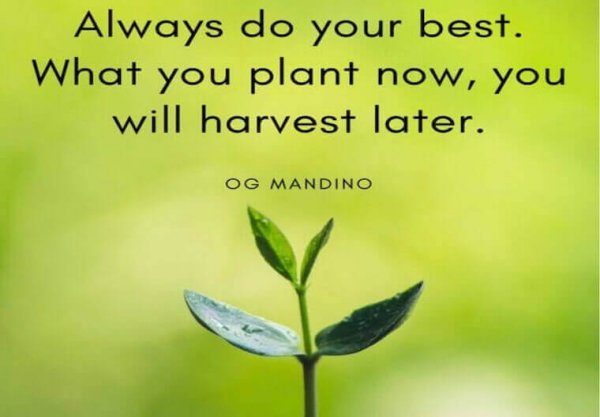 19 Planting Seeds Quotes to Start Your Journey to Fulfilment